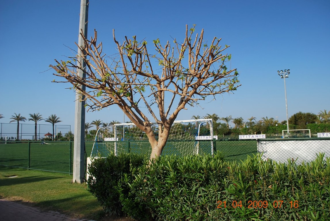 imagini hotel TITANIC LARA